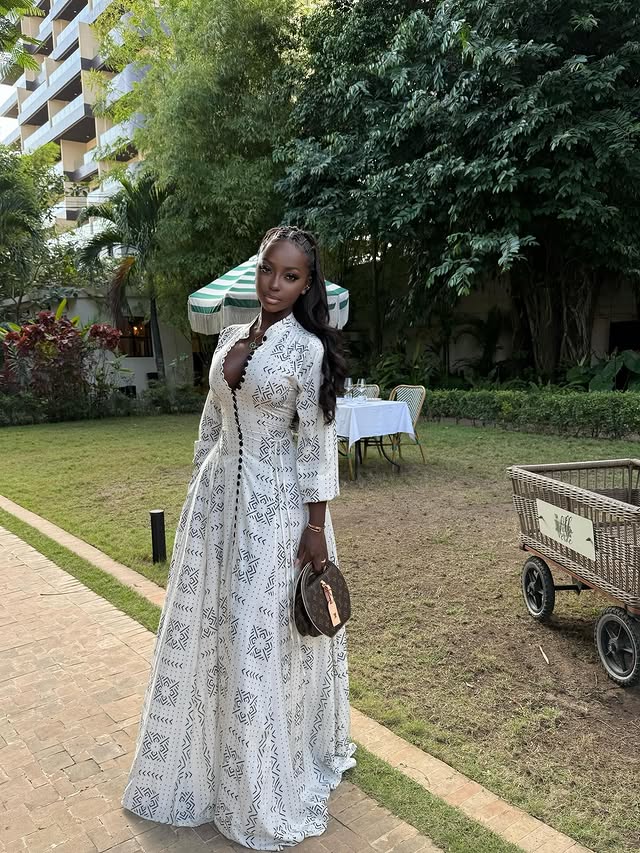 Ethnic Print Deep V - Neck Maxi Dress