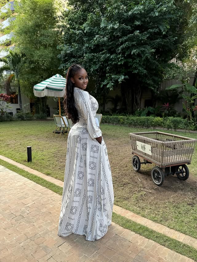 Ethnic Print Deep V - Neck Maxi Dress