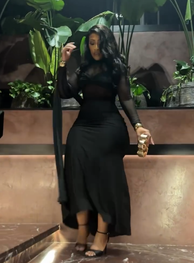 Black Mesh Panel Bodycon Maxi Dress – Elegant Evening Party Gown with Sheer Sleeves